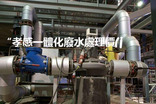 “孝感一體化廢水處理價(jià)格怎么樣？一文詳解！”